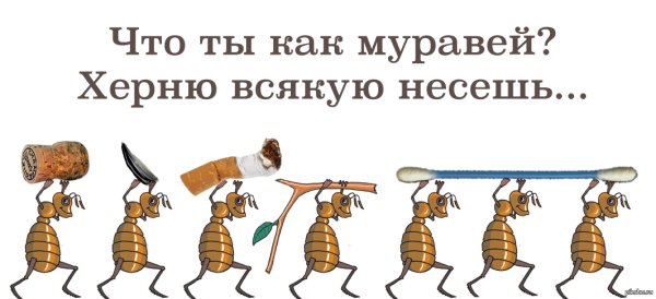 Приколы про муравьев