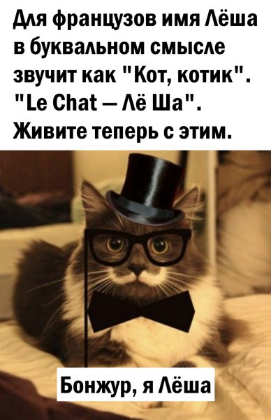 Лёша по французски котик