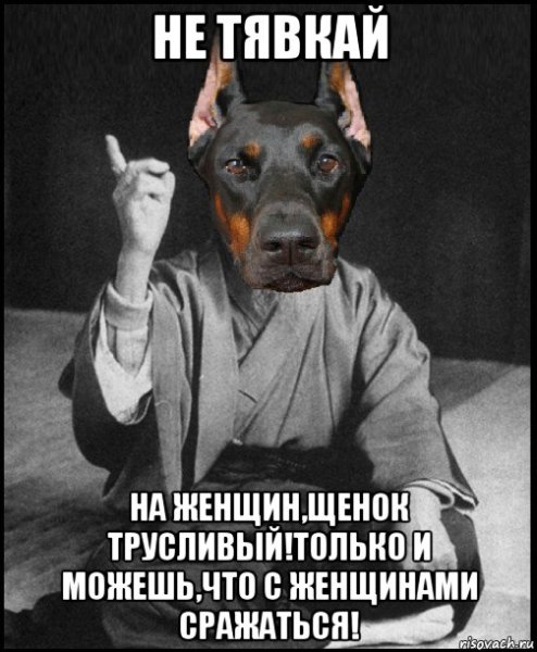 Мемы с собаками