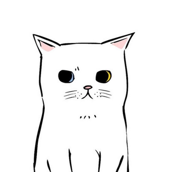 Рисунок кошки для срисовки