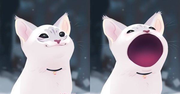 Кот с открытым ртом Мем