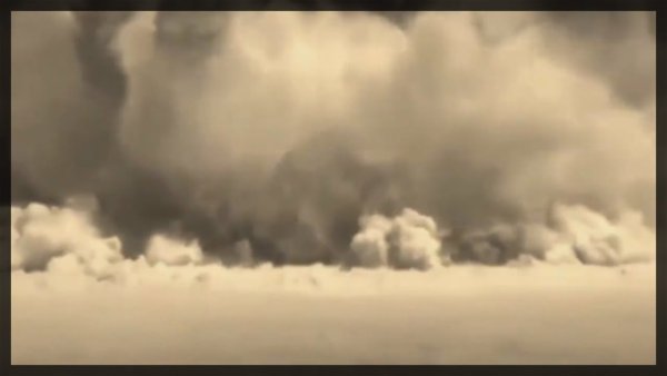 Котик на фоне взрыва