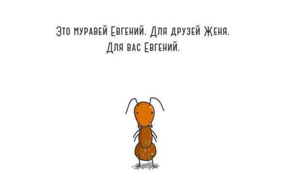 Муравей прикол