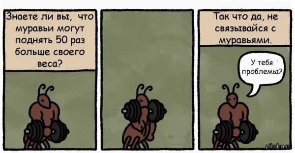 Шутки с муравьями