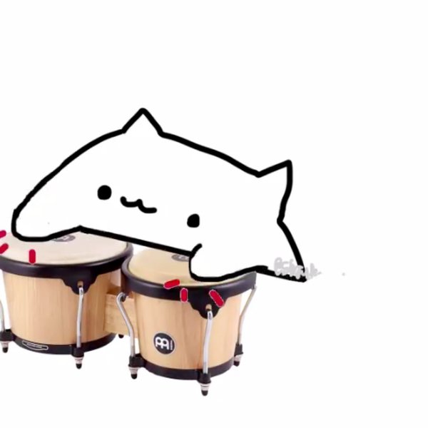 Кот играющий на барабанах