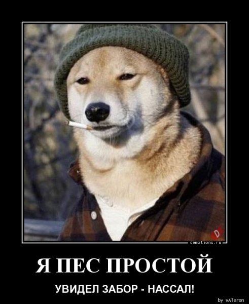Собака в шапке с сигаретой