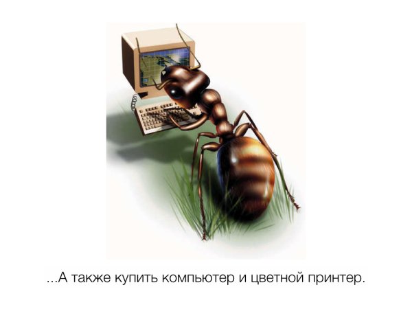 Юмор про муравьев