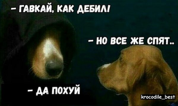 Собака лает Мем