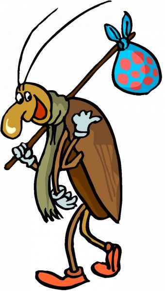 Таракан прикольный