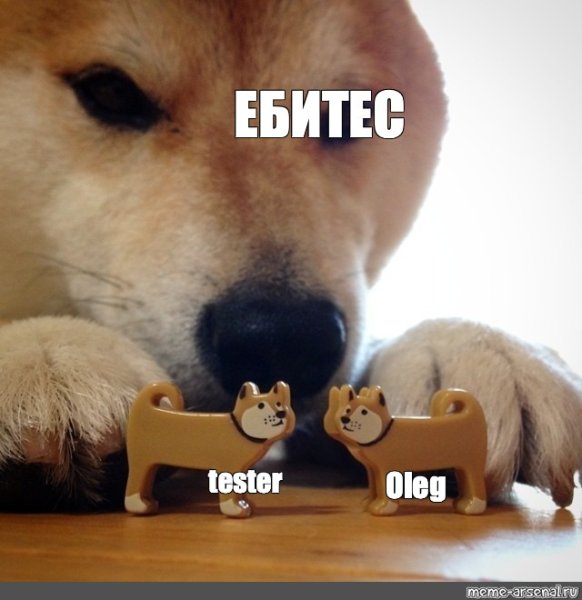 Шиба ебитес