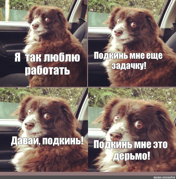 Любишь кататься Мем