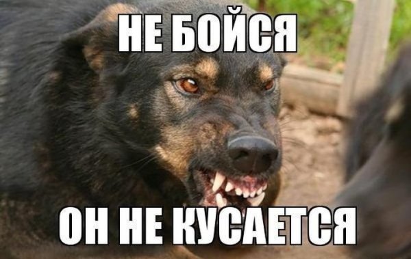 Не бойся она не кусается