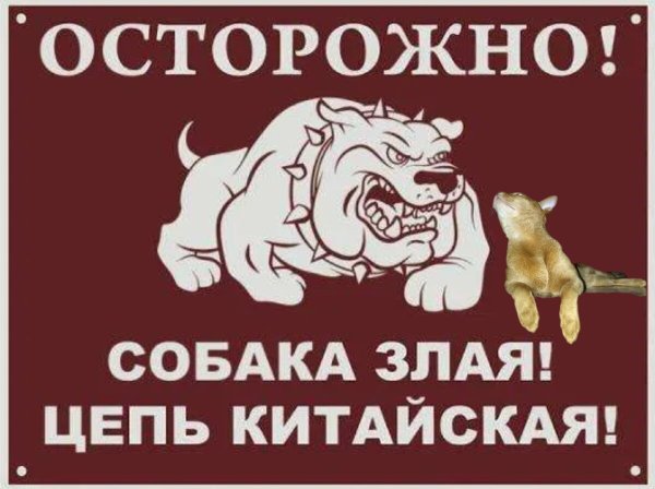 Осторожно злая собака цепь китайская