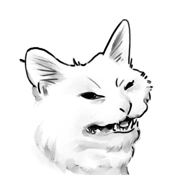 Мемный кот нарисованный