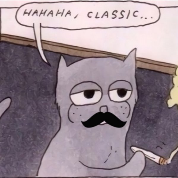 Classic Мем с котом