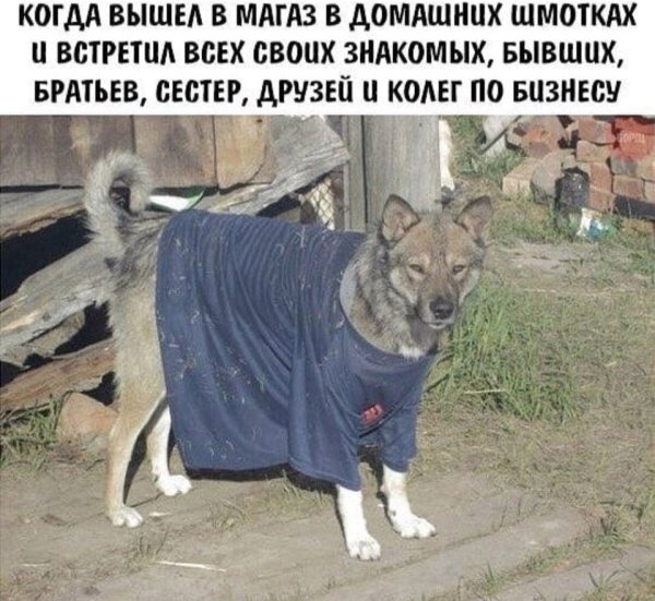 Когда вышел в магазин и встретил всех