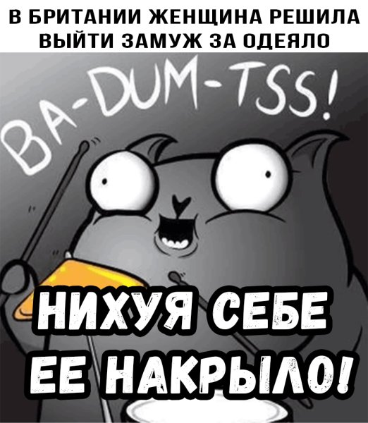 Мемы кот стендапер