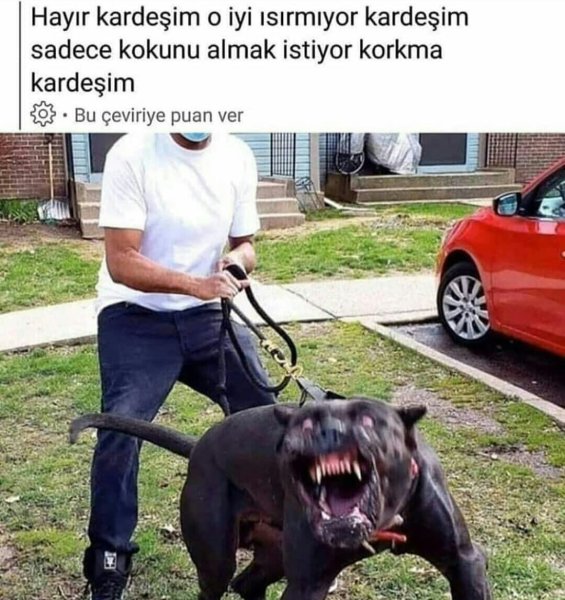 Не бойся она не кусается