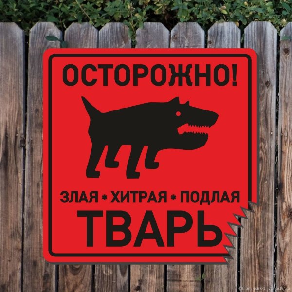 Осторожно, злая собака!