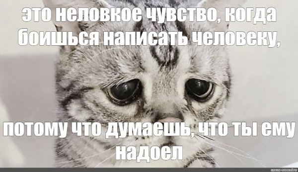 Грустный кот с надписью