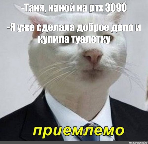 Мемы с котиками в костюме