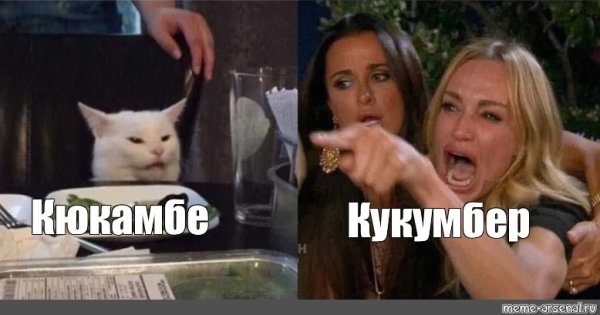 Мем кот и две девушки