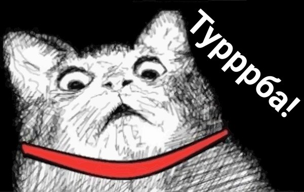 Испуганный кот