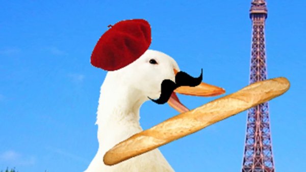 Мемы про французов