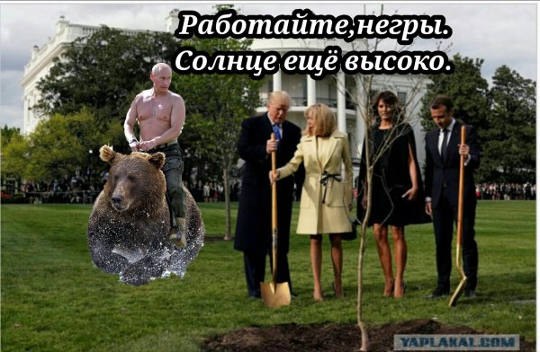 Солнце светит негры пашут