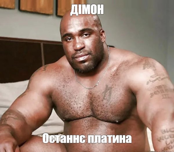 Фарид нигер