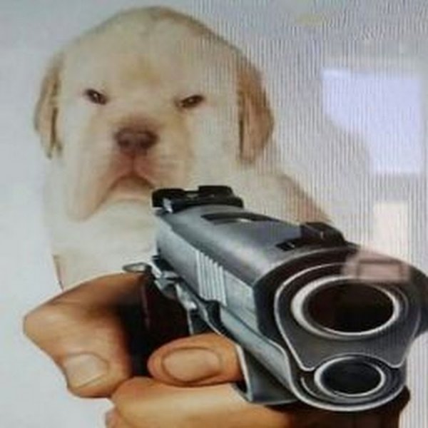 Песик с пистолетом