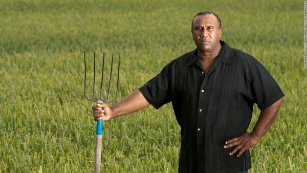 Негры пашут