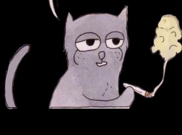 Classic Мем с котом