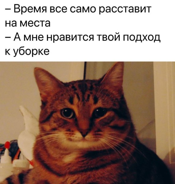 Соглашающийся кот