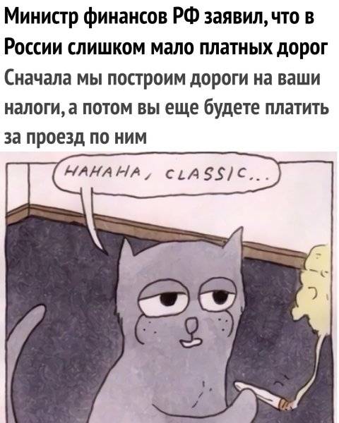 Классика Мем кот