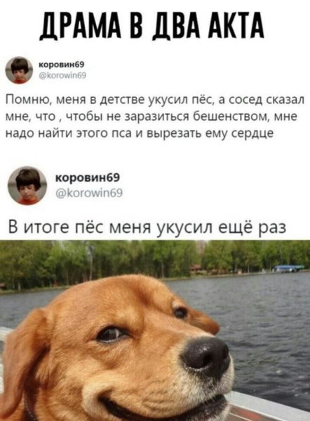 Собака кусается Мем