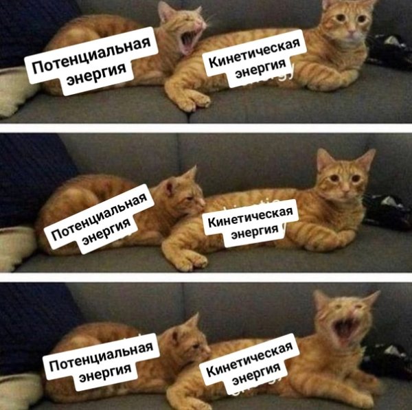 Коты энергетики Мем