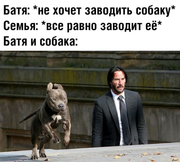 Семья хочет завести собаку Мем