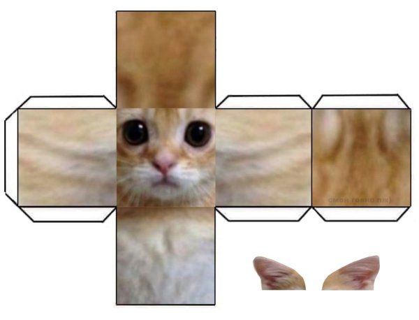 Макет кота из бумаги