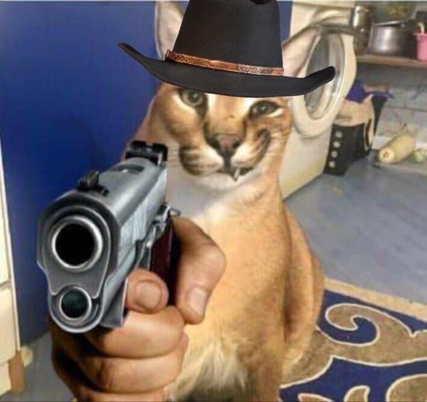 Шлепа кот с пистолетом