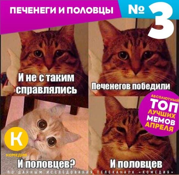 Кот победитель Мем