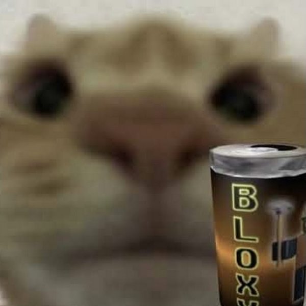 Кот на аву Мем