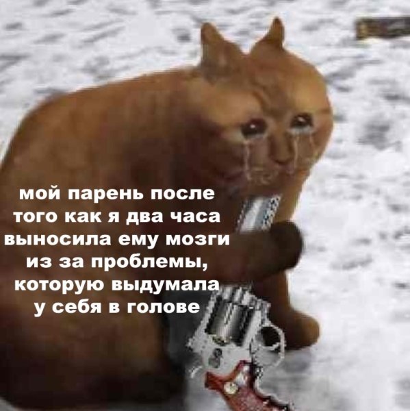 Кот с пистолетом