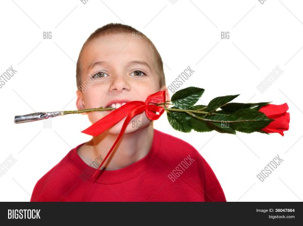 Держит розу в зубах