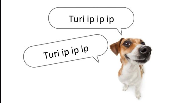 Trip IP IP IP Мем