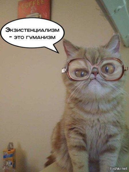 Коты м Франция мемы