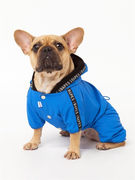 Комбез для собаки