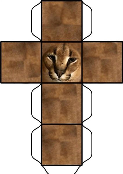 Квадратный кот