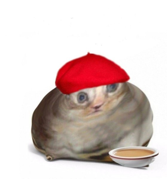 Кот из Англии Мем