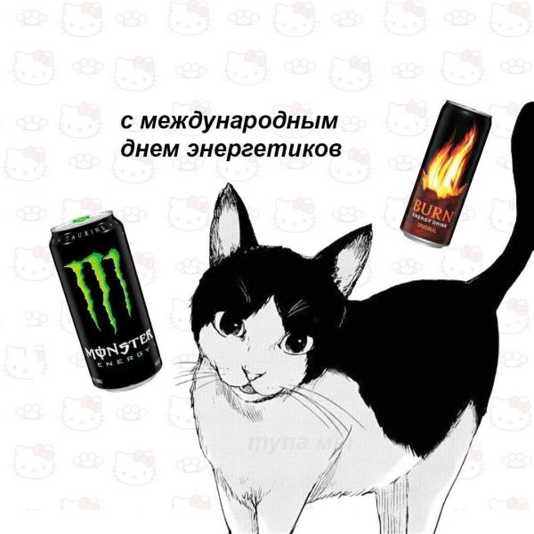 Кот энергетик